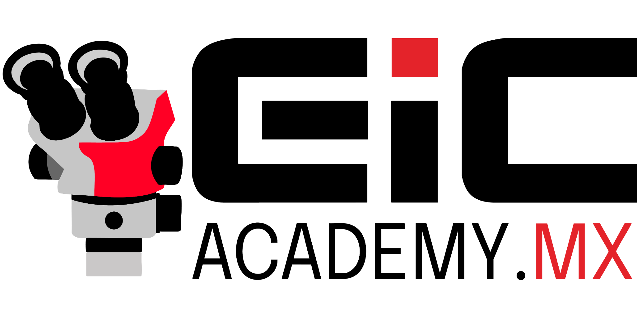 EIC Academy